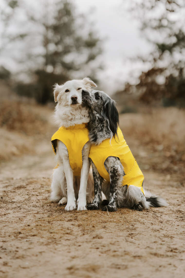 HUNTER Hundemantel Milford